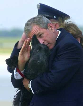 BUSH
